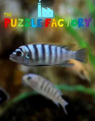 The Puzzle Factory Free Download (v1.04)