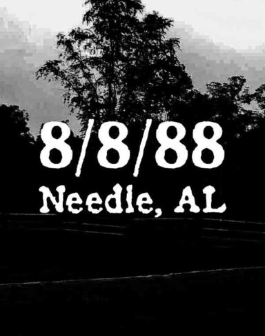 8/8/88 Needle AL Free Download (BUILD 11292837)
