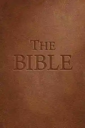 The Bible Free Download (v1.28)