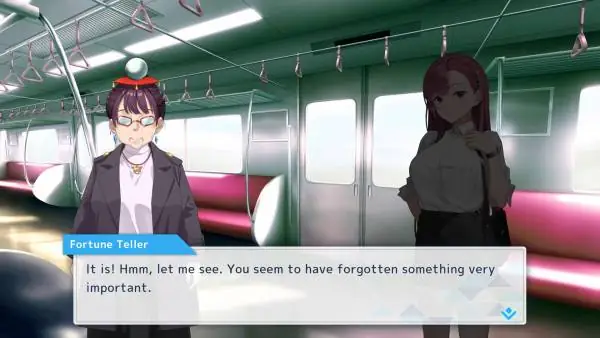 Rina's Undercover Train Operation PreInstalled For PC